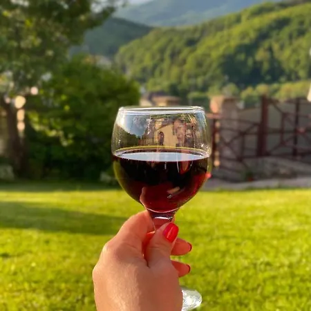 Panorama Townhouse Polyana (Transcarpathia)