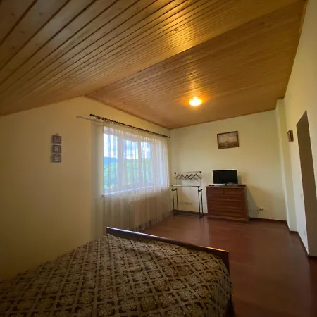 Apartment Panorama Townhouse Polyana (Transcarpathia)
