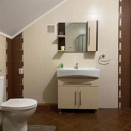 Panorama Townhouse Polyana (Transcarpathia)