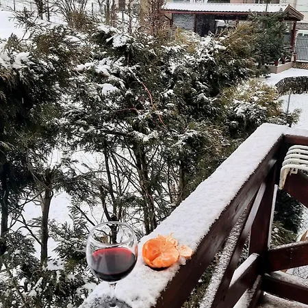 Panorama Townhouse * Polyana (Transcarpathia)