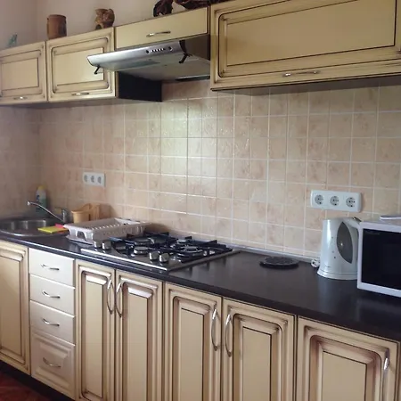 Panorama Townhouse Polyana (Transcarpathia)