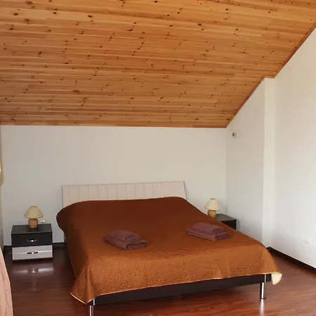 Panorama Townhouse Apartment Polyana (Transcarpathia)